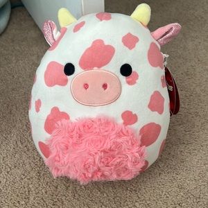 Evangelica squishmallow